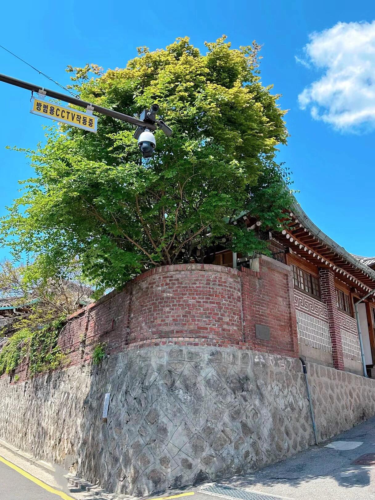 
                        首爾必打卡！北村韓屋村拍攝指南來到韓國首爾，北村韓屋村絕對不能錯過！這里保留著朝鮮時代兩班貴族生活的傳統韓屋，因位于清溪川和鐘路的北部而得名“北村”。?????♂?游覽路線推薦：① **北村傳統文化中心**：提供多國語言的北村韓屋地圖，標注了北村八景的具體位置，甚至連上下坡的坡度都有標注！既方便游覽又是旅行的絕佳紀念。② **北村桂洞街**：從現代集團總公司大廈到中央高中，沿途有許多新穎的商店可以逛逛。③ **北村中央高中**：韓劇《冬季戀歌》《鬼怪》的取景地。④ **北村三景**：體驗傳統工藝的工坊，推薦去東琳結藝工坊體驗韓國的結藝技法。⑤ **北村四景**：從高處眺望韓屋村的黑色屋瓦，發現韓村的另一種美。⑥ **北村五、六景**：這兩個景點在同一條街上，是韓屋村歷史遺址最集中的地方，五景是從小巷路下往上看，很多人喜歡在這里拍照。⑦ **北村七景**：感受北村小巷居民的古樸幽靜生活。⑧ **北村八景**：三清洞石階路，這條石階路由整塊巖石雕刻而成，十分驚艷。??小貼士：「北村人景」：北村一景和二景距離較遠，建議從逛完桂洞街后，從北村三景開始游覽。??交通：乘坐首爾地鐵3號線，在安國站3號出口下車，步行3分鐘即可到達北村傳統文化中心。??天氣：韓國最近進入梅雨季，避免雨天前往，因為下雨不僅行走不便，拍照效果也不好。建議下午去，人少光線好，拍出來的照片更出色。??韓服租借：附近有很多韓服租借店，價格在10000-40000韓幣之間！價格越高的韓服越好看，帽子和佩刀需要額外收費，大約5000一個單品。記得和老板講價，他們通常會給一些優惠。??化妝：男生只需整理好發型，女生建議自己化妝，韓妝不一定適合所有人，流水線化妝不夠細致。我看到很多外國人化了妝，但效果不佳，性價比不高。#分享你近期最愛的照片 #韓屋村 #旅游 #韓國旅游 #韓國旅行攻略 #首爾旅行 #首爾探店 #筆記靈感 ????
