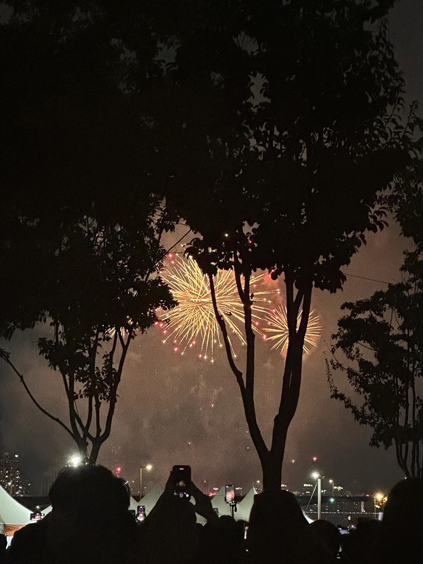 
                        韓國????｜用最美的煙花點亮今晚漢江的夜空還記得小時候最期待的過年環節，除了領紅包就是放煙花了，但好像很久沒有再次感受過那種悸動，直到今天??真的被震撼到了！不僅規模宏大，感覺還有很多新技術，許多煙花是以前沒見過的，真的很唯美、治愈、美好…一直看到小紅書上有人擔心會發生事故，但還是硬著頭皮去了現場，只能說一點都不后悔這個決定！！身臨其境的浪漫，還有等待時和室友簡單的野餐時光，都是這個周末最棒的回憶??tips：①明年如果還能來，一定要再早一些！人流量詳見p9-p10②不要坐在樹旁邊的位置，會擋視野③提前在daiso買好野餐墊，現場價格是兩倍且不好看④晚上真的會冷，要多穿衣服，我最后是套了毛衣加厚外套，仿佛入冬了⑤不必帶吃的來，這邊小吃街很多，價格合理，隨意挑選ps：①今年右邊坐了一位性格超級好的姐姐，帶著四個可愛的小朋友，還會主動和我們搭話～過程中小孩子惹出了小事故（水灑了，熒光棒破了…），她居然一點情緒波瀾都沒有??或許是因為有這樣一個情緒穩定的媽媽吧，小孩子們也很可愛，很聽話。②左邊的小情侶也很美好，一起聊天野餐之后，各自拿出了書，坐在一起閱讀，好喜歡這種相處模式③還有后來的幾位越南弟弟妹妹們kkk 越南式韓語真的很可愛hhh 尤其是叫??（姐姐）的時候④當然也感受到了韓國人的精神狀態??，前方稍微有人在放煙花時站起來，后面就有人大喊“給我坐下”，好嚇人hhhhh#韓國語學院 #留學韓國 #韓國留學生日常 #首爾大學語學院 #首爾 #煙花 #浪漫 #一起去野餐 #首爾漢江 #超美煙花 #最美夜景 #2023煙花 #2023首爾世界煙花慶典 #首爾煙花 #首爾漢江煙花節 #汝矣島公園 #汝矣島煙花慶典