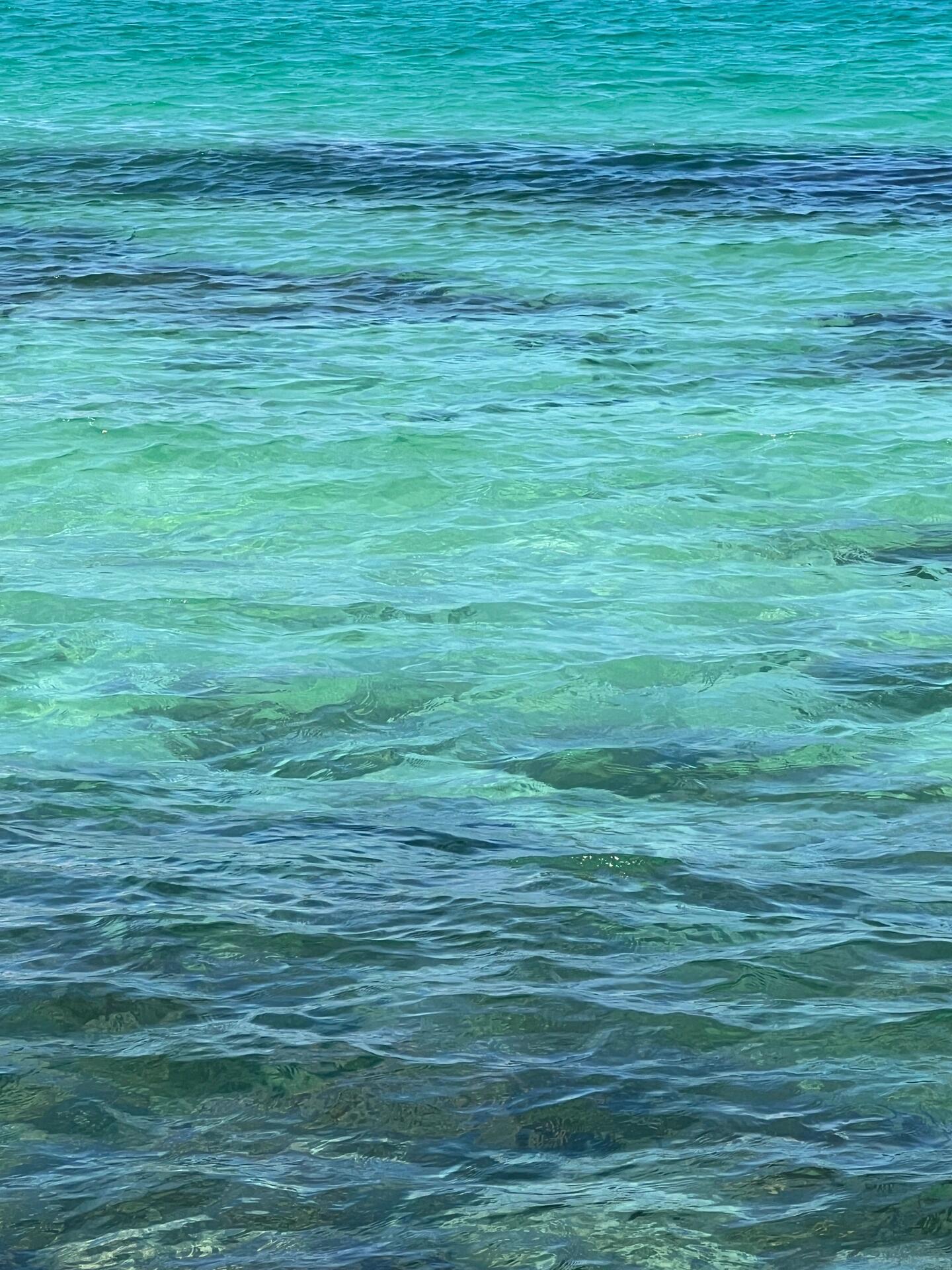 
                        ??濟州島海邊自拍攻略在濟州島的海邊拍到了超美人生自拍??? #海邊 #人生自拍 #海邊拍照 #韓國 #濟州島 #旅行必打卡 #自拍技巧