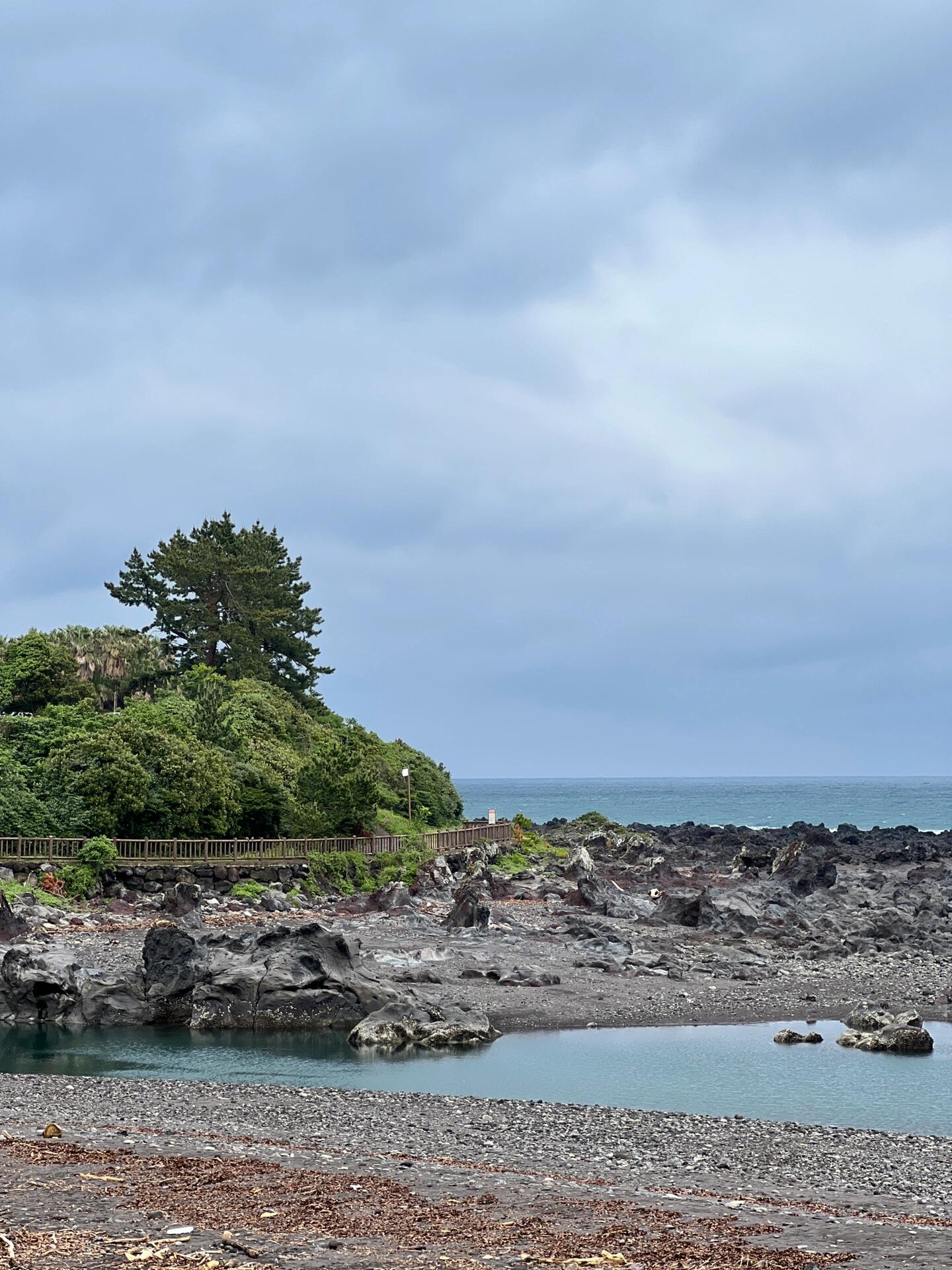 
                        西歸浦·黑沙灘??這個地方真的太美了，拍不完的美景！不過真的超級冷，風也特別大，大家去的時候一定要注意保暖哦！??#濟州島旅行 #黑沙灘 #濟州島黑沙灘 #濟州島西歸浦市 #西歸浦
