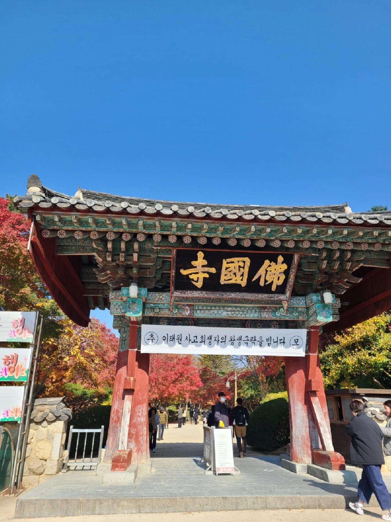 
                        韓國慶州佛國寺～絕美紅葉賞析慶州一日游，打卡佛國寺的絕美紅葉??。這里的秋天真的讓人流連忘返，色彩斑斕的紅葉與古老的寺廟相映成趣，仿佛置身于一幅畫卷中。#韓國慶州 #慶州佛國寺 #慶州紅葉 #韓國旅游 #韓國秋季旅行 #韓國必去景點
