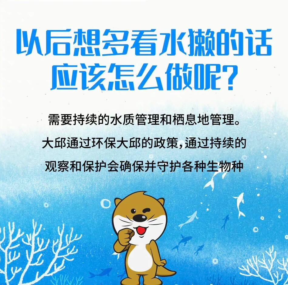 
                        干凈水源的象征—水獺可愛水獺居住的城市-大邱！只生活在清水里的水獺有什么特點呢？一起來了解一下吧 (′?`)！！#水獺 #大邱 #大邱旅游 #韓國大邱 #環保大邱