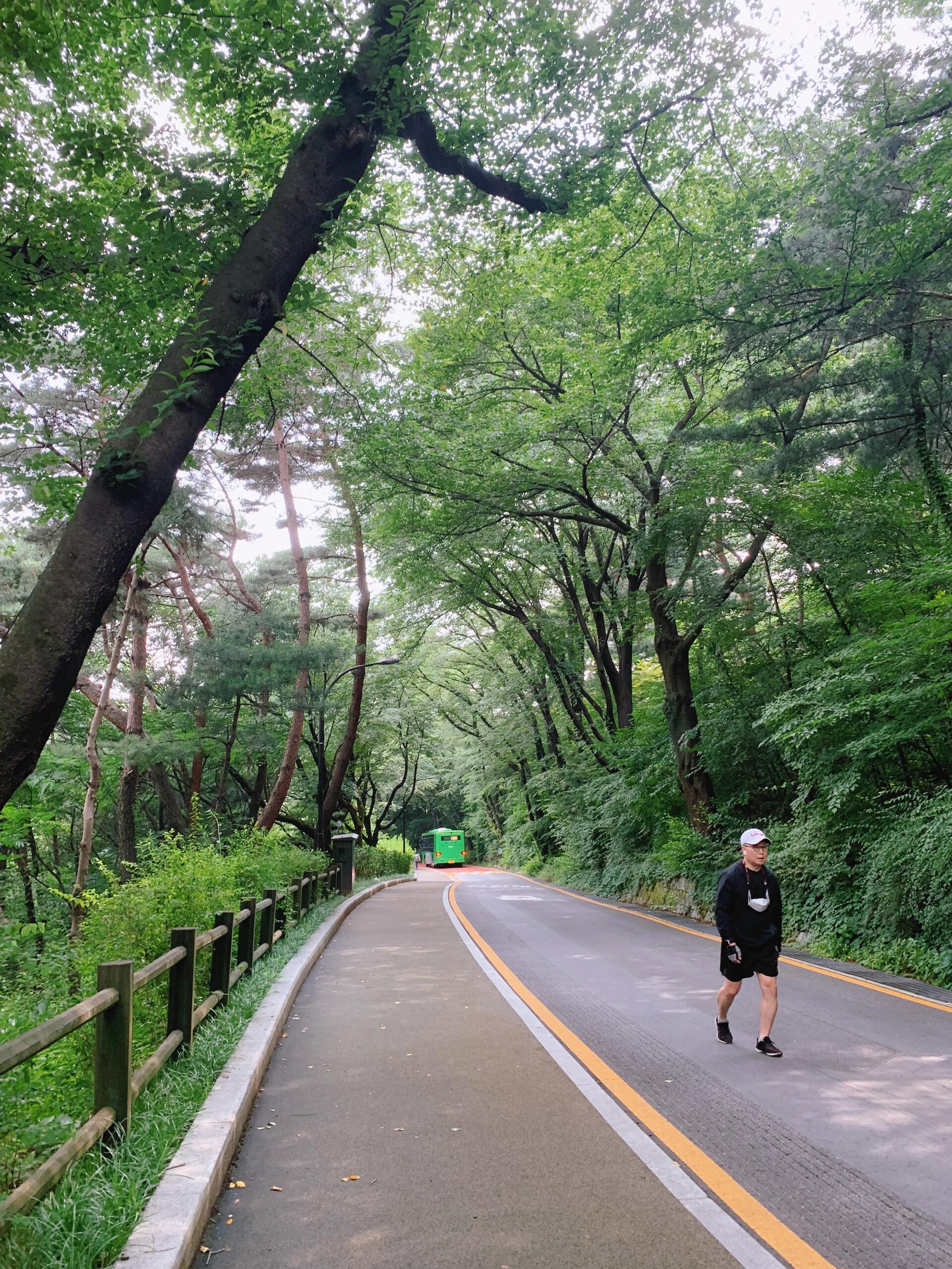 
                        首爾????南山塔篇再回南山塔，我來還愿了！三年前第一次來南山塔，出租車直接送到了纜車站，買了往返票去掛鎖??。當時的愿望是：Just be yourself，希望能做自己！三年后，我來還愿了哈哈！我可真棒！這次選擇了另一條線路，地鐵到明洞，出來后步行從前漫畫街上山，認準圖一的建筑Pacific Hotel往里走就行。不得不說，韓國人在制造可愛這一點真的無敵，無敵街景，配上背后的南山塔，非常出片！我們一邊拍照一邊上山，到坐纜車的地方差不多走了半小時，半路會經過很多南山炸豬排店，喜歡的也可以坐下來嘗試一下！纜車往返成人1萬4，周中人不多，基本沒排隊就上山了，纜車里往外看，能看到整個首爾，白天夜晚都很好看！下了纜車往上再走個100米就是南山塔了！我們去的那天正好有民俗演出，敲鑼打鼓的，山上有便利店，爬山累了可以吃點喝點！下山可以坐公交車，我們減脂人是走下去的，林蔭道人少非常舒服，基本都是徒步的老大爺老大媽，養生局無疑了！#旅行 #首爾 #首爾南山塔 #首爾旅行 #首爾漫畫街 #南山漫畫街 #明洞 #南山纜車 #炸豬排 #爬山
