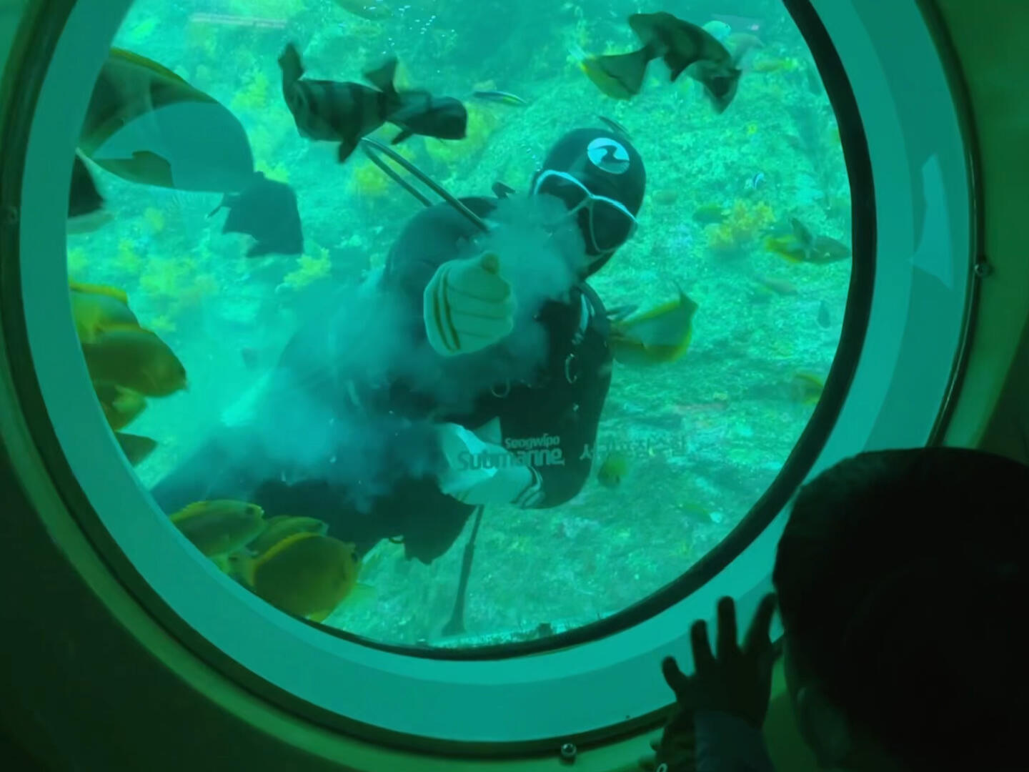 
                        西歸浦潛水艇體驗記??當然要記錄啦??！不是每次看魚兒都能坐潛水艇哦～帶娃來的可以試試這個特別的體驗。首先坐船，然后換乘潛水艇下潛??。雖然之前泰坦號事件讓人有些擔心，但西歸浦潛水艇已經安全運營35年了，值得信賴??。對寶寶來說，這可是一次新奇的冒險呢！潛水艇里有船長解說，會告訴你什么時候坐左邊看魚??，什么時候換到右邊看珊瑚??，所以不用糾結坐哪邊，都能看到哦！建議提前預約，不然可能會因為票賣完而白跑一趟。我那天晚上嘗試在NAVER預約，但沒成功，看到還有很多票就直接去了。結果因為有兩個大團，票都賣完了，從市區過來坐了1個多小時車，真不想白跑。幸好職員很熱心，看到我們帶小孩，積極幫忙聯系預約未到的顧客。那天天氣不好，風很大，真的有人取消了！我們順利候補上，成功登船??。所以想去的朋友們最好提前預約，假期人多，白跑一趟真的會emo。不過，如果沒帶寶寶的話，可能不太推薦，因為下去主要看到一些小魚、沉船和珊瑚，中途還有可能暈船。比較適合帶小朋友來觀光感受一下哦～ #西歸浦 #潛水艇 #濟州島旅行 #濟州島親子游 #濟州島西歸浦潛水艇 #西歸浦旅行 #濟州島