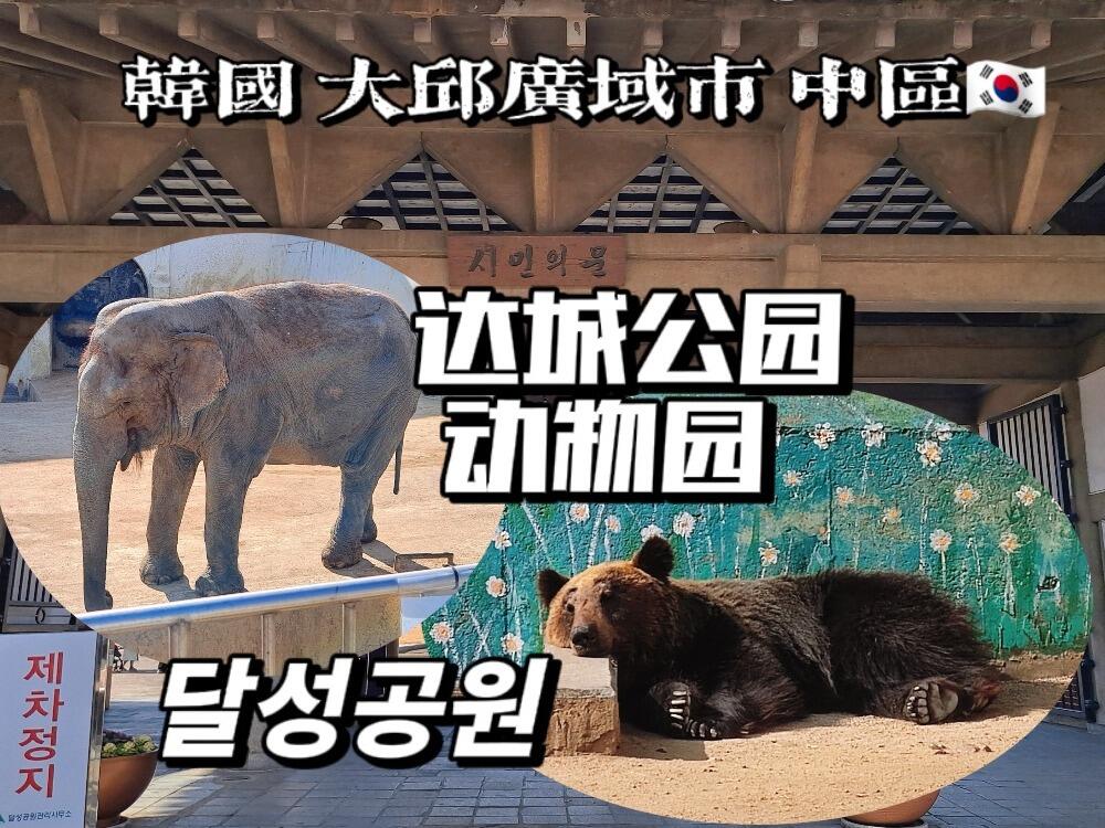 
                        韓國大邱 | 達城公園 ???? (大邱動物園)公園面積為126,576㎡ (38,289坪)，整個公園遺址被指定為歷史遺跡的達城。達城公園是一個以珍稀樹木和景觀樹裝飾的城市社區(qū)公園。入口處有當?shù)貧v史博物館，寬闊的草坪廣場很有特色，各種動物居住的籠子，動植物和諧共存。沿著山脊步行可以做輕體力運動，但公園內(nèi)沒有餐廳和咖啡廳。公園內(nèi)與歷史相關的有達城土城、官風樓、崔濟佑、達城瑞的《有和記》、李相和的懺悔錄、兒童憲章、李相勇的救國碑、侯浩的國碑。_________________公園缺乏美感，不適合年輕情侶的時尚約會，主要都是老年人散步居多。無論是在公園里還是在公園周圍，都沒有適合年輕人的設施。附近手工藝品店、木工店、工具店居多。_________________門票: 免費時間: 每日 10:00 -- 19:00_________________地址: ????? ?? ????? 35 / 大邱廣域市 中區(qū) 達城洞 294-3 /_________________#韓國大邱 #大邱旅游 #樂在大邱 #大邱打卡 #韓國旅行攻略 #韓國景點 #大邱必去 #韓國歷史遺跡 #大邱動物園 #韓國公園 #大邱散步 #大邱歷史