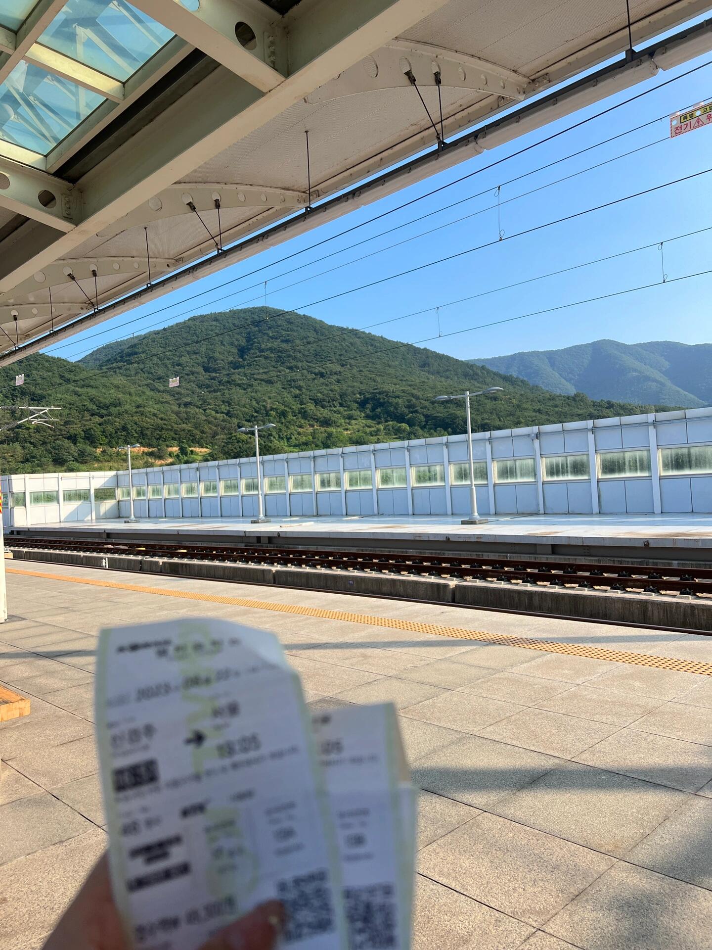 
                        慶州！真的巨好拍！#周末去哪兒 #韓國慶州 #首爾周邊游 ??慶州真的是一個超級適合拍照的地方！無論是古色古香的建筑，還是美麗的自然風光，都能讓你隨手一拍就是大片。這里有很多歷史遺跡和文化景點，絕對是拍照打卡的好去處。周末來這里走走逛逛，感受一下韓國的傳統文化，真的超棒！??#旅行攻略 #拍照圣地 #韓國旅行 #慶州旅行 #文化之旅 #歷史遺跡 #自然風光 #打卡勝地