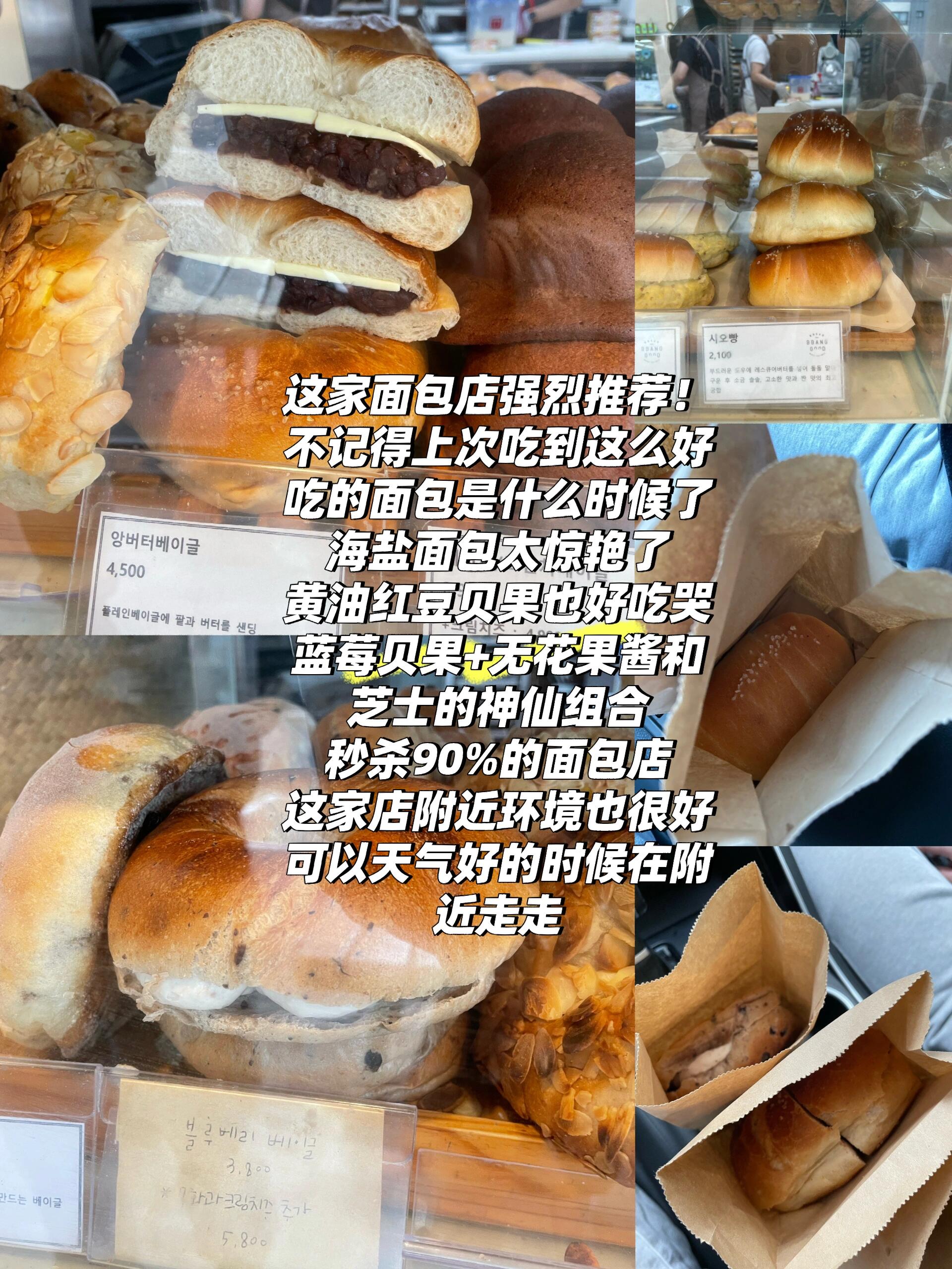 
                        ????濟州島旅行｜狂吃三天 無一踩雷去了三天，因為天氣不好，就一直開著車找好吃的。全是韓網(wǎng)上review非常多，評分很高的人氣餐廳。??#探店 #烤肉 #韓餐 #韓國 #濟州島旅行 #濟州島 #旅行 #寶藏餐廳分享 #濟州島美食 #韓國美食