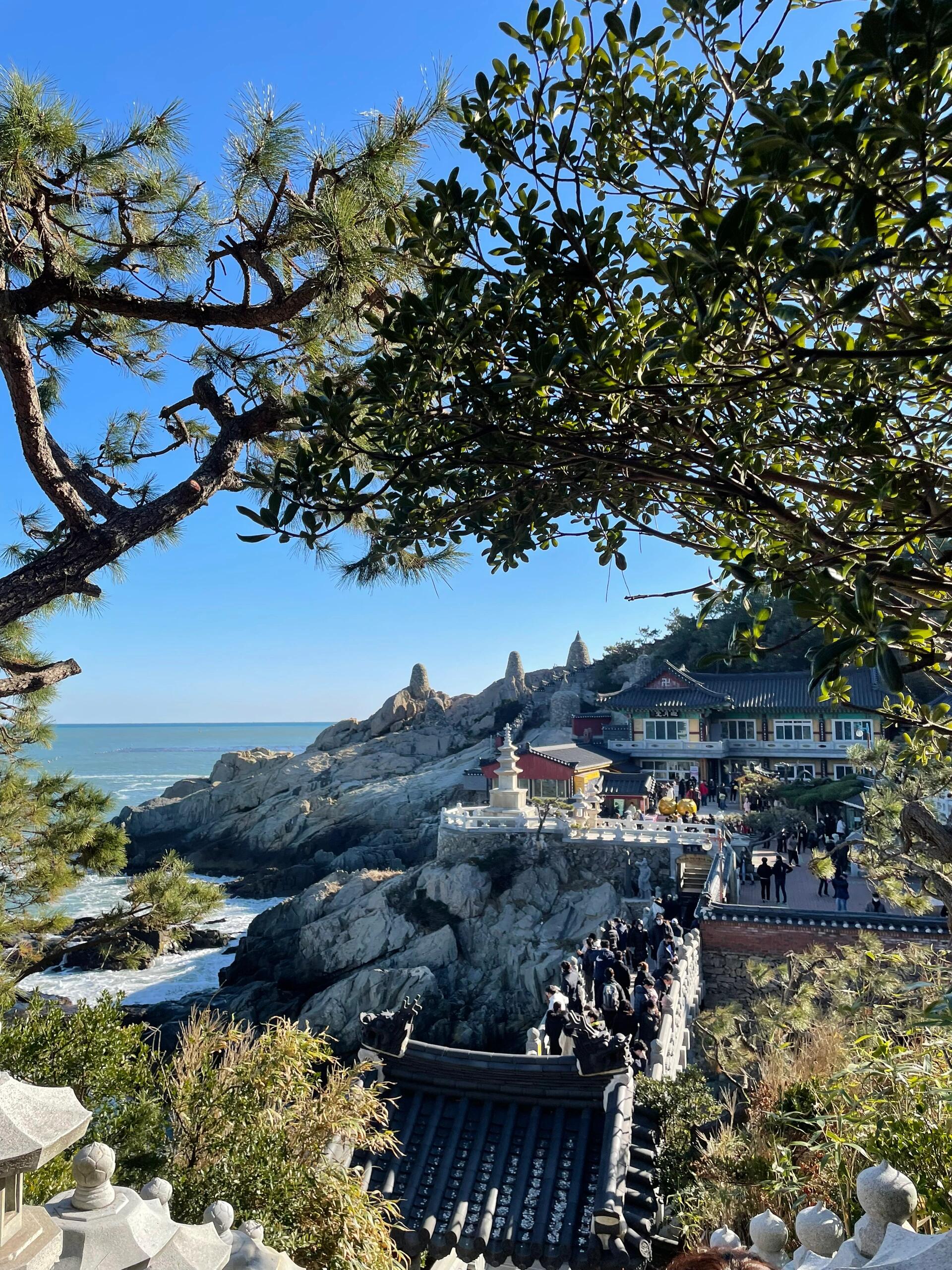 
                        ???? 釜山｜臨海而建的海東龍宮寺??節日街上人太多啦，所以這次圣誕節選擇來離市區較遠的海東龍宮寺逛逛，沒想到這里也好多人！??入口有賣食物和紀念品的小攤位，最吸引人的是這座臨海而建的寺廟，有點像印尼巴厘島的海神廟。建議釜山旅游行程寬裕或對寺廟歷史宗教感興趣的朋友們來參觀哦～??海東龍宮寺 ?? ???地址：釜山廣域市 機張郡 機張邑 龍宮街86????? ??? ??? ??? 86*可搭乘釜山地鐵2號線至海云臺站7號出口，步行1分鐘至巴士海云臺都市鐵道站（????????），轉乘181號公車至龍宮寺國立水產科學院站（??????????），步行約15分鐘即可到達。#記錄生活 #拍照 #釜山 #釜山攻略 #海東龍宮寺 #釜山旅行 #寺廟 #旅游 #旅行 #釜山行 #天空 #治愈系天空 #大海 #治愈大海 #藍色大海 ??