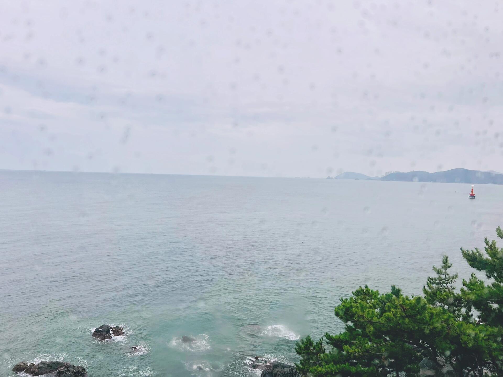 
                        雨中漫步釜山膠囊小火車?? 探索“小鐮倉”青沙浦在奧萊逛了半天，人實在太多，于是決定打車前往青沙浦。釜山的海景在天氣好的時候總是那么迷人。感謝膠囊小火車的代購服務，不過計劃趕不上變化，上車前竟然開始下雨，而且越下越大。這也是一種別樣的風景吧。明天就要回家了，總的來說，釜山還是一個適合在海邊放空的地方，不過語言交流上確實有些不便，無法完全替代日本的體驗。#膠囊小火車 #釜山天空膠囊 #釜山 #釜山旅行 #釜山旅游 #釜山行 #釜山海云臺 #釜山青沙浦 ?????