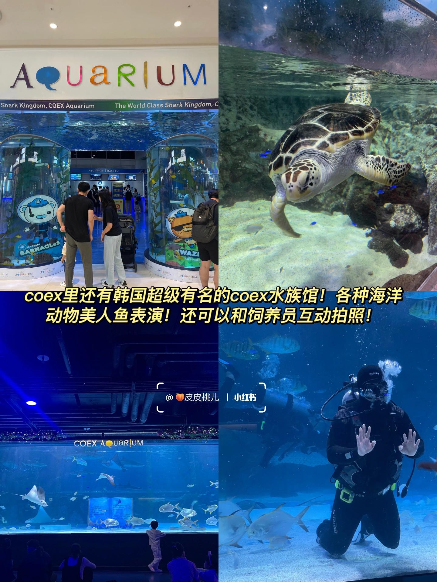 
                        ????韓國購物旅行｜三成現代百貨免稅店攻略中秋和十一小長假馬上就要來了！相信很多小伙伴已經計劃好去韓國旅行了吧！今天給大家整理了一份韓國熱門地標——現代百貨免稅店三成站的攻略，趕緊收藏起來吧！??現代百貨免稅店貿易中心店（三成站店）交通超級方便哦！??捷運2號線，三成站5號出口??捷運9號線，奉恩寺站7號出口（通過COEX內部就能直接到達三成店）??捷運2號線三成站和9號線奉恩寺站是相連的，從熱門的the現代首爾乘坐9號線可以直達哦！??從仁川機場T1航站樓乘坐機場大巴6103或6006號也可以直達現代百貨免稅店貿易中心店?營業時間：09:30 ~ 20:00??地址：??? ??? ???? 517（??????? ?????）??整棟大樓是現代百貨店，8、9、10層是免稅店樓層！你想要的這里都有哦！！??我還在9樓參加了可持續的Wonderland“與未來的我約定”活動！現代百貨免稅店X金荷娜作家的VINYL展覽，展覽結束后可以寫明信片投入郵筒，幸運的話還能得到??！這個活動到9月30日就結束啦！拍照場景也超級好看！??逛完免稅店后，可以去COEX里的星空圖書館打卡！這里可是拍照和休息的絕佳地點！??此外，還有各種小吃、電影院、紀念品店、服裝店等逛不完！COEX最大的水族館也可以順道去打卡！不僅可以看美人魚表演，還可以和飼養員互動哦！#韓國旅游 #韓國購物 #韓國免稅店 #現代免稅店 #現代百貨免稅店 #韓國熱門地 #首爾旅游 #首爾購物 #江南旅游 #韓國江南 #星空圖書館 #COEX #COEX免稅店 #COEX水族館 #打卡 #探店 #商場分享 #看展 #100家探店計劃