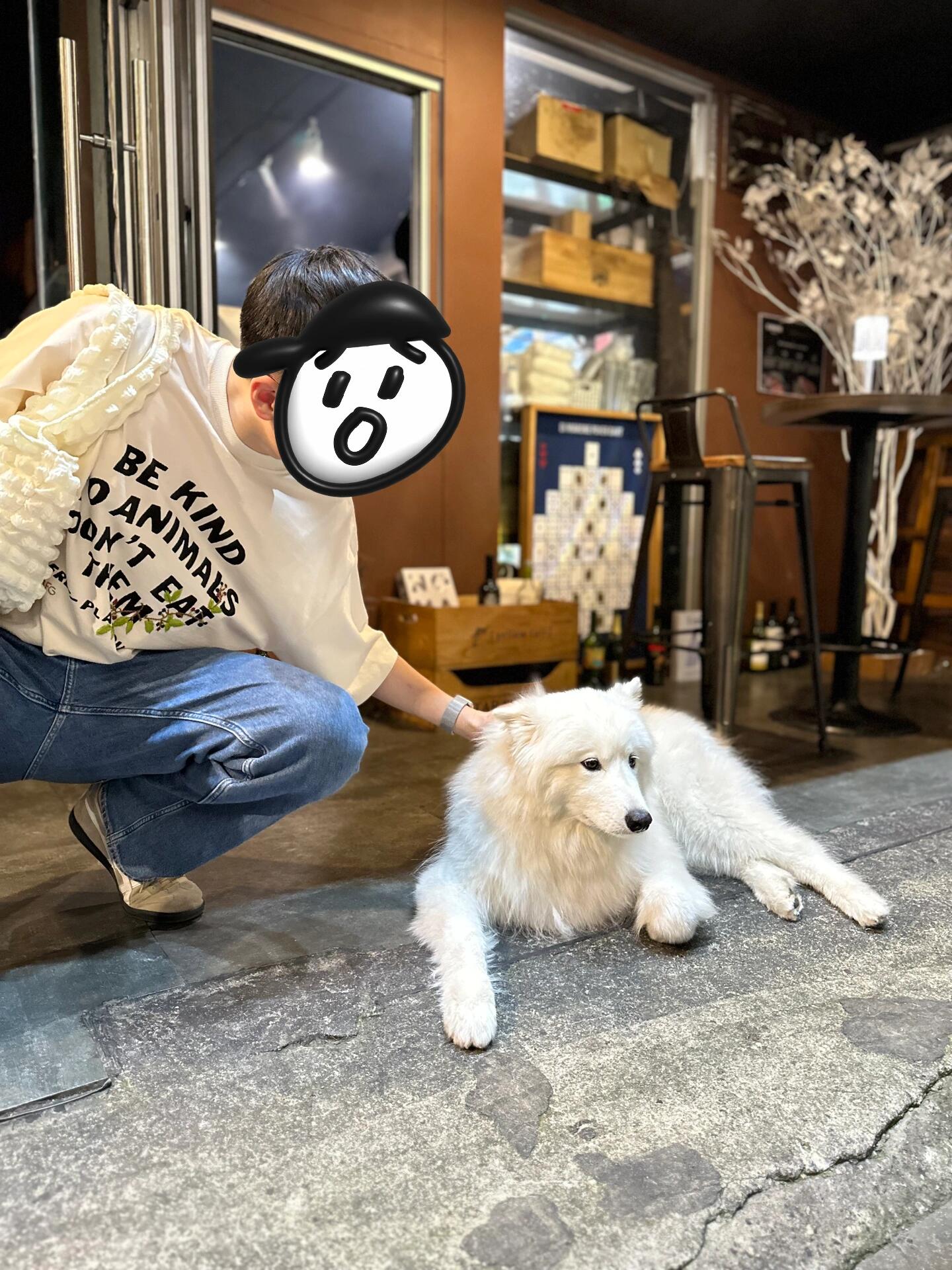 
                        首爾必吃推薦：江南面鋪牛肋排? 鑒定Top1美食：#江南面鋪 的牛肋排絕對不容錯過！這道紅燒牛肋排，味道鮮咸中帶微甜和一點辣，牛肉包裹著完整的牛肋，軟糯到筷子輕輕一碰就脫骨，簡直美味到讓人難以忘懷。作為一個江浙口味的吃貨，首爾5天的美食之旅讓我從醬蟹、嫩豆腐湯吃到土豆脊骨湯、冷面、烤牛/豬肉、部隊火鍋、豬蹄、雞爪、炸雞、餃子和牛肋排，越吃越上癮。???? 鑒定Top1娛樂：#亂打秀 在明洞的亂打秀絕對是視覺盛宴！全程90分鐘的演出，提前預定第二排的位置是明智之選（第一排可能會被蔬菜道具“襲擊”哦），沉浸式的觀賞體驗讓人全程笑不停，快樂氛圍感染力十足。????? 鑒定Top1購物：#漢南洞 是購物的天堂，從頭到腳都能在這里找到心儀的單品。#ept 的商品不僅價格實惠，而且帽子、衣服和鞋子的版型都非常贊，絕對值得一逛！????
