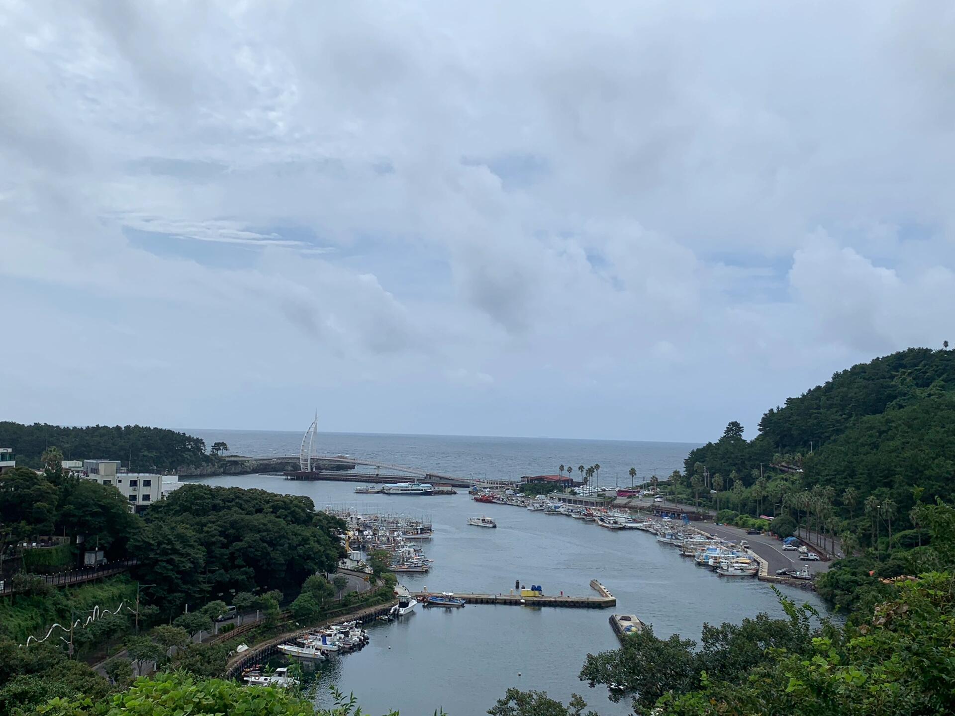 
                        西歸浦 吃喝玩樂指南今天在天地淵迷路啦！買了燒酒和濟州??，結果改成吃炸帶魚（真的超級好吃）！還去了碼頭！準備回濟州市啦～ #旅行 #西歸浦 #濟州島旅行 #美食日常 #小眾景點 #韓國旅行 ????