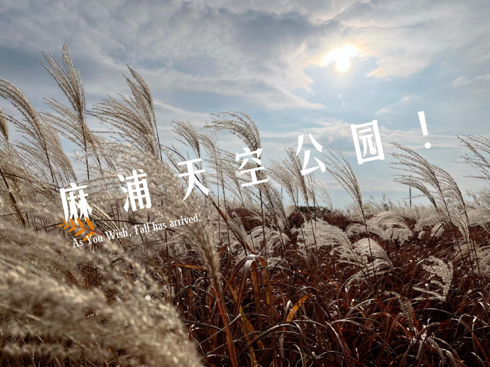 
                        首爾秋季必打卡地，麻浦天空公園！原本只是偶然經過，聽說這個公園的風景超贊，于是臨時決定上去看看。沒想到在首爾也能欣賞到如此壯闊的天際線??。強烈推薦一定要乘坐園區內的巴士哦！否則徒步上去會有點累呢！#韓國生活 #天空公園 #首爾 #首爾漢江 #秋季旅行 ??