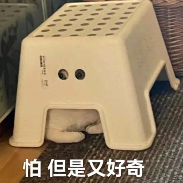 
                        揭秘！韓國四號線捷運為何會突然熄燈？每次從首爾搭乘四號線回家的時候，總是在南泰嶺站還是???站的時候，捷運車廂的燈會突然熄滅一會兒，然后又重新亮起。這到底是為什么呢？????#韓國捷運 #首爾旅行 #韓國交通