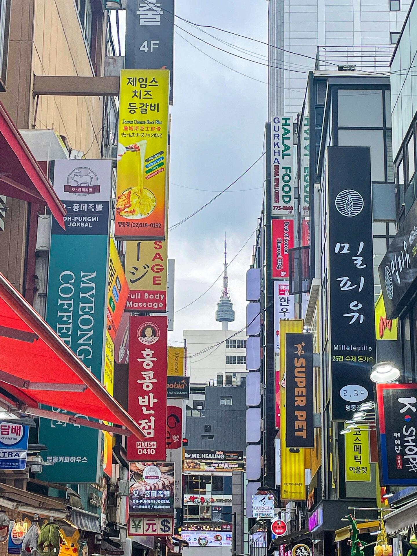 
                        明洞這個拍照點能捕捉到南山塔全景啦！??#今日快樂今日發四年后再次踏上首爾的土地，心情無比激動！這次發現了一個絕佳的拍照點，可以完美拍到南山塔哦！??#浪漫生活的記錄者 #首爾旅行 #首爾 #明洞 #韓國明洞 #南山塔 #首爾南山塔 #韓國旅游 #韓國攻略 #韓國日常 #旅行打卡 #拍照圣地 #必去景點 ??