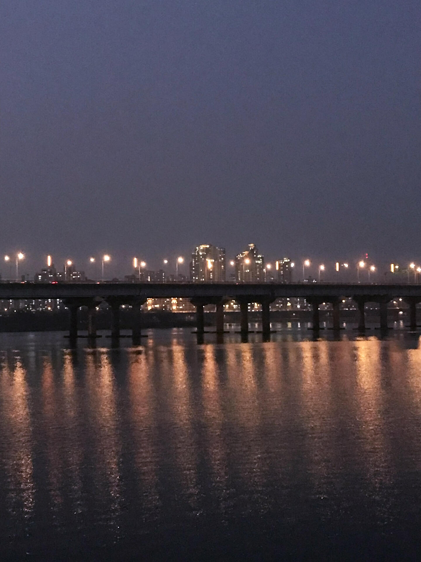 
                        去漢江公園散步的完美夜晚??前幾天天氣超贊??，晚上和朋友一起去了汝矣島的漢江公園。剛進去的時候人真的很多，不過沿著江邊慢慢走，人就漸漸少了。吹著江風散步，感覺真的很愜意～還特地去打卡了鄭在玹在漢江拍照的地方??，拍了個同款！#留學韓國 #韓國生活 #首爾漢江 #鄭在玹 #nct