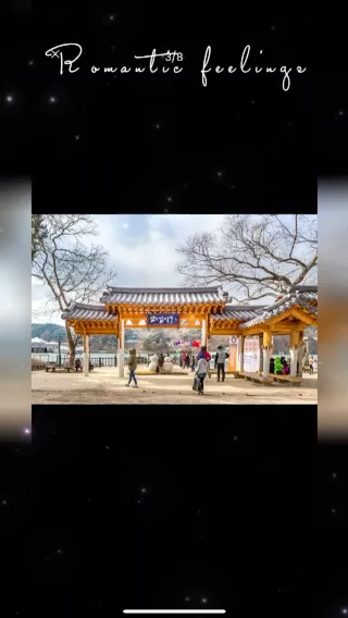 
                         #南怡島##韓國包車##韓國旅游# 南怡島，羊駝一日游
